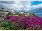 Revelion Madeira, Alto Lido Hotel 4*